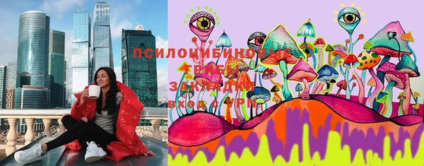 мет Белокуриха