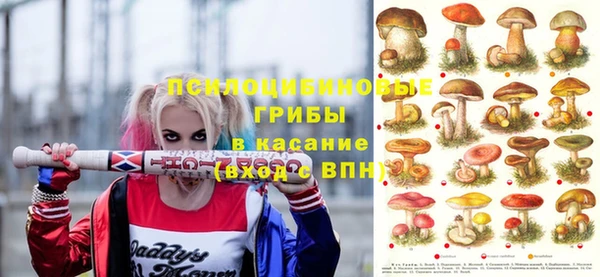 a pvp Беломорск